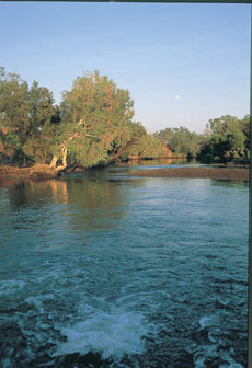 McArthur River near the crossing at Borroloola 